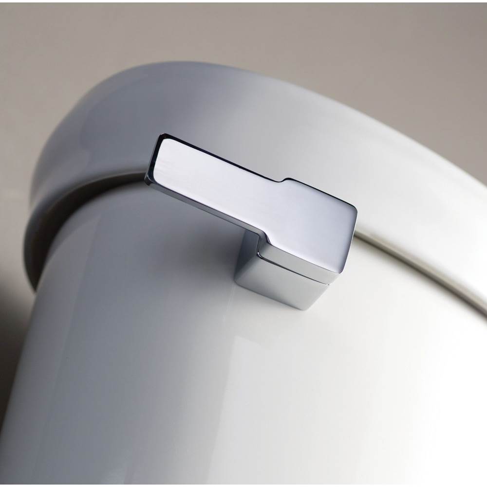 Brushed Nickel Tank Lever