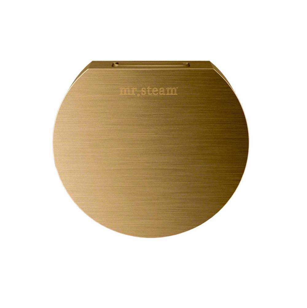 Mr. Steam - Aroma Designer 3 in. W. Steamhead with AromaTherapy Reservoir in Round Brushed Bronze - Brushed Bronze