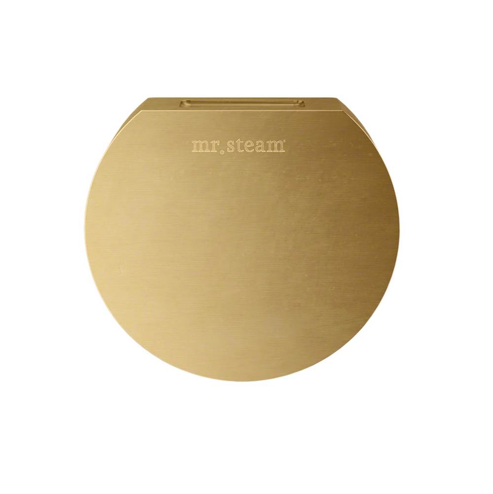 Mr. Steam - Aroma Designer 3 in. W. Steamhead with AromaTherapy Reservoir in Round Satin Brass - Satin Brass
