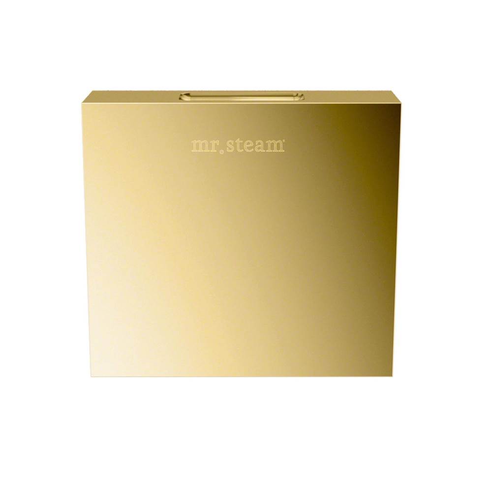 Mr. Steam - Aroma Designer 3 in. W. Steamhead with AromaTherapy Reservoir in Square Polished Brass - Polished Brass