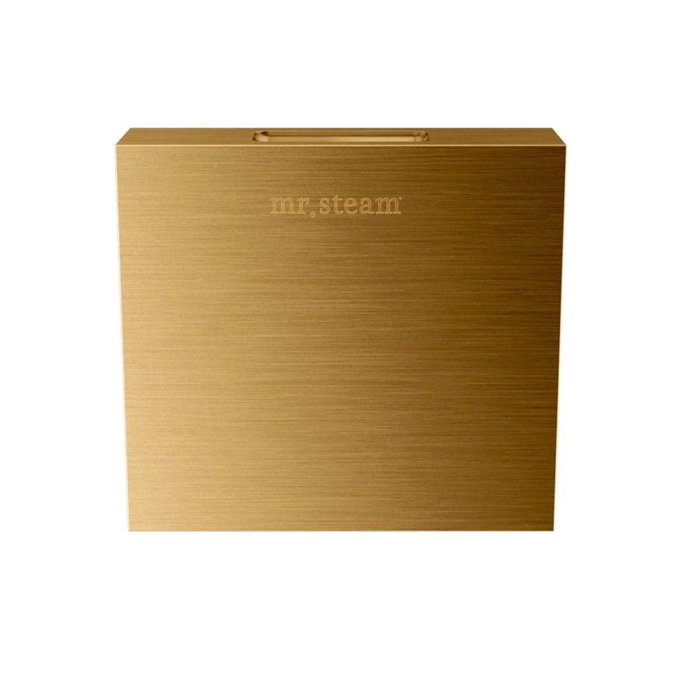 Mr. Steam - Aroma Designer 3 in. W. Steamhead with AromaTherapy Reservoir in Square Custom Plated/Unfinished - Custom Plated/Unfinished