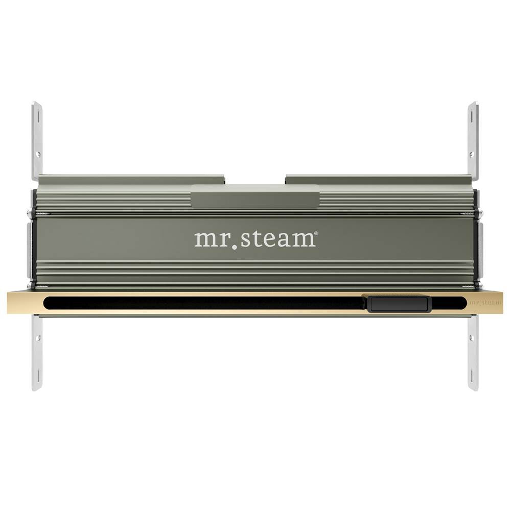 Mr. Steam - Linear 16 in. W. Steamhead with AromaTherapy Reservoir in Polished Brass - Polished Brass