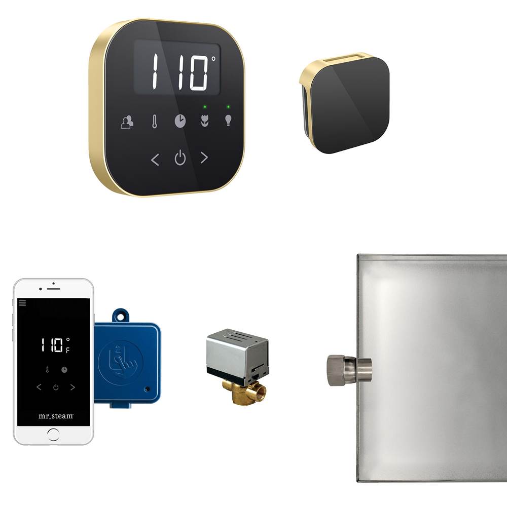 Mr. Steam - AirButler Steam Shower Control Package with AirTempo Control and Aroma Glass SteamHead in Black Satin Brass - Black Satin Brass