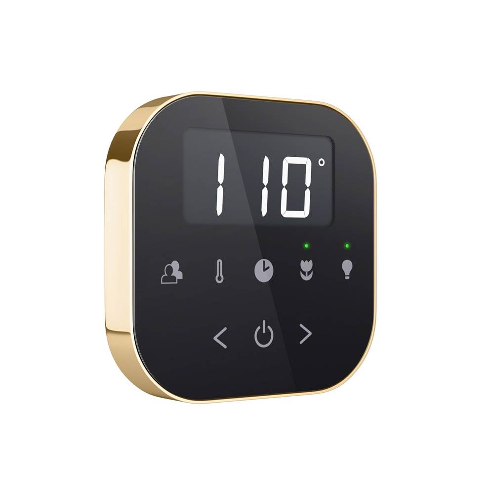 AirTempo Steam Shower Control and Aroma Glass SteamHead in Black Brushed Bronze