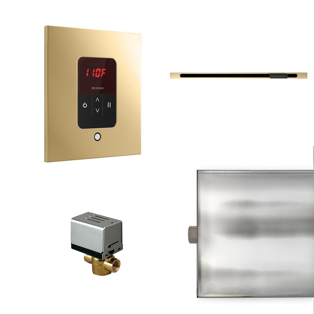 Mr. Steam - Basic Butler Linear Steam Shower Control Package with iTempo Control and Linear SteamHead in Square Polished Brass - Polished Brass