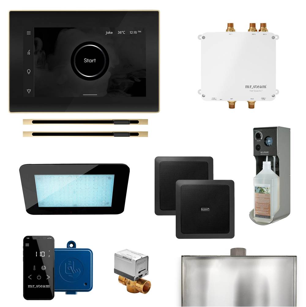 Mr. Steam - Bliss Max Linear Programmable Steam Generator Control Kit with iSteamX Control and Linear Steamhead in Black Polished Brass - Black Polished Brass