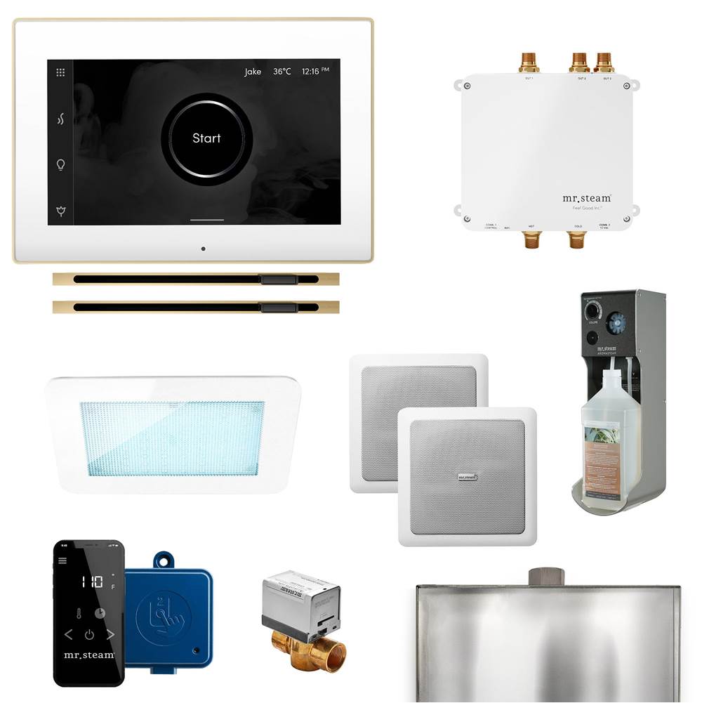 Mr. Steam - Bliss Max Linear Programmable Steam Generator Control Kit with iSteamX Control and Linear Steamhead in White Satin Brass - White Satin Brass