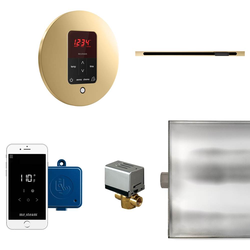 Mr. Steam - Butler Linear Steam Shower Control Package with iTempoPlus Control and Linear SteamHead in Round Polished Brass - Polished Brass
