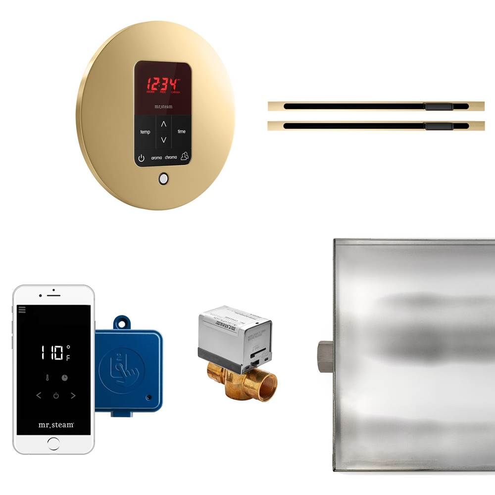 Mr. Steam - Butler Max Linear Steam Shower Control Package with iTempoPlus Control and Linear SteamHead in Round Polished Brass - Polished Brass