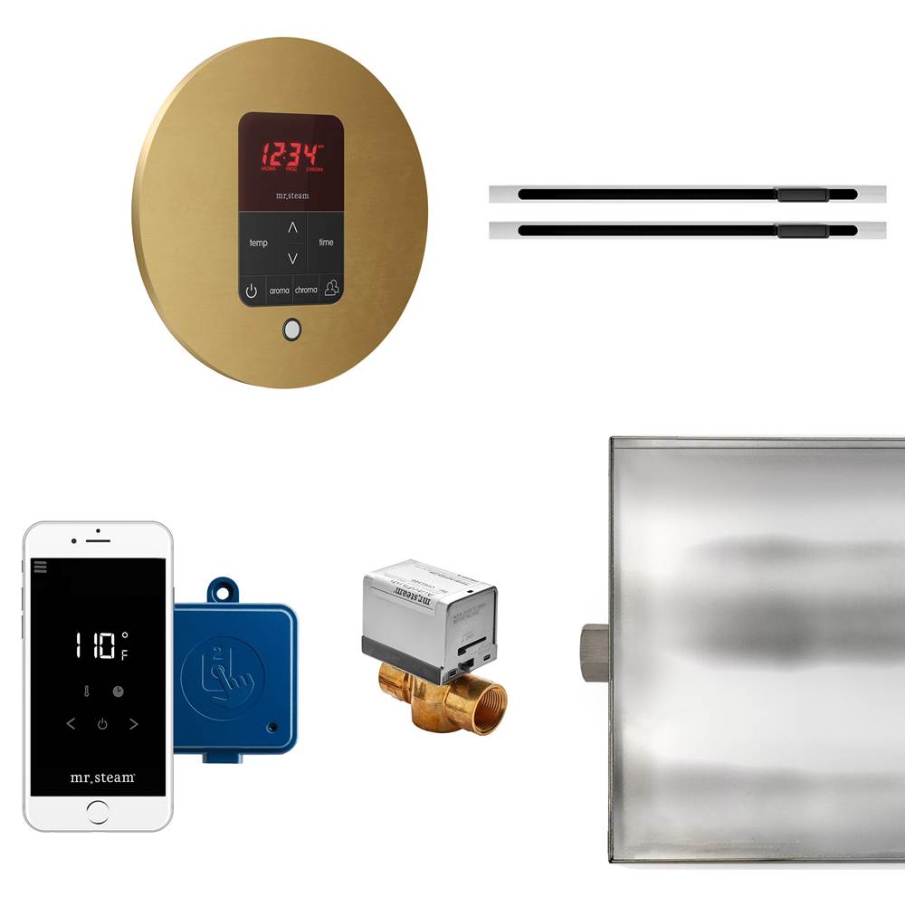 Mr. Steam - Butler Max Linear Steam Shower Control Package with iTempoPlus Control and Linear SteamHead in Round Custom Plated/Unfinished - Custom Plated/Unfinished