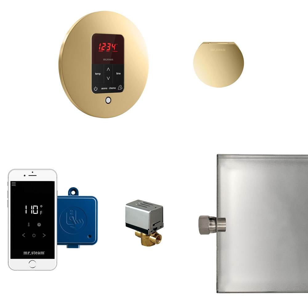 Mr. Steam - Butler Steam Shower Control Package with iTempoPlus Control and Aroma Designer SteamHead in Round Polished Brass - Polished Brass