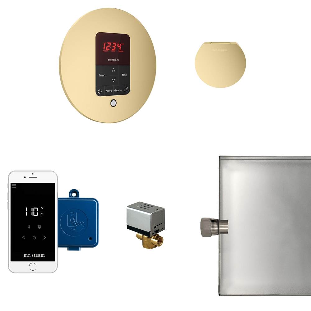 Mr. Steam - Butler Steam Shower Control Package with iTempoPlus Control and Aroma Designer SteamHead in Round Satin Brass - Satin Brass