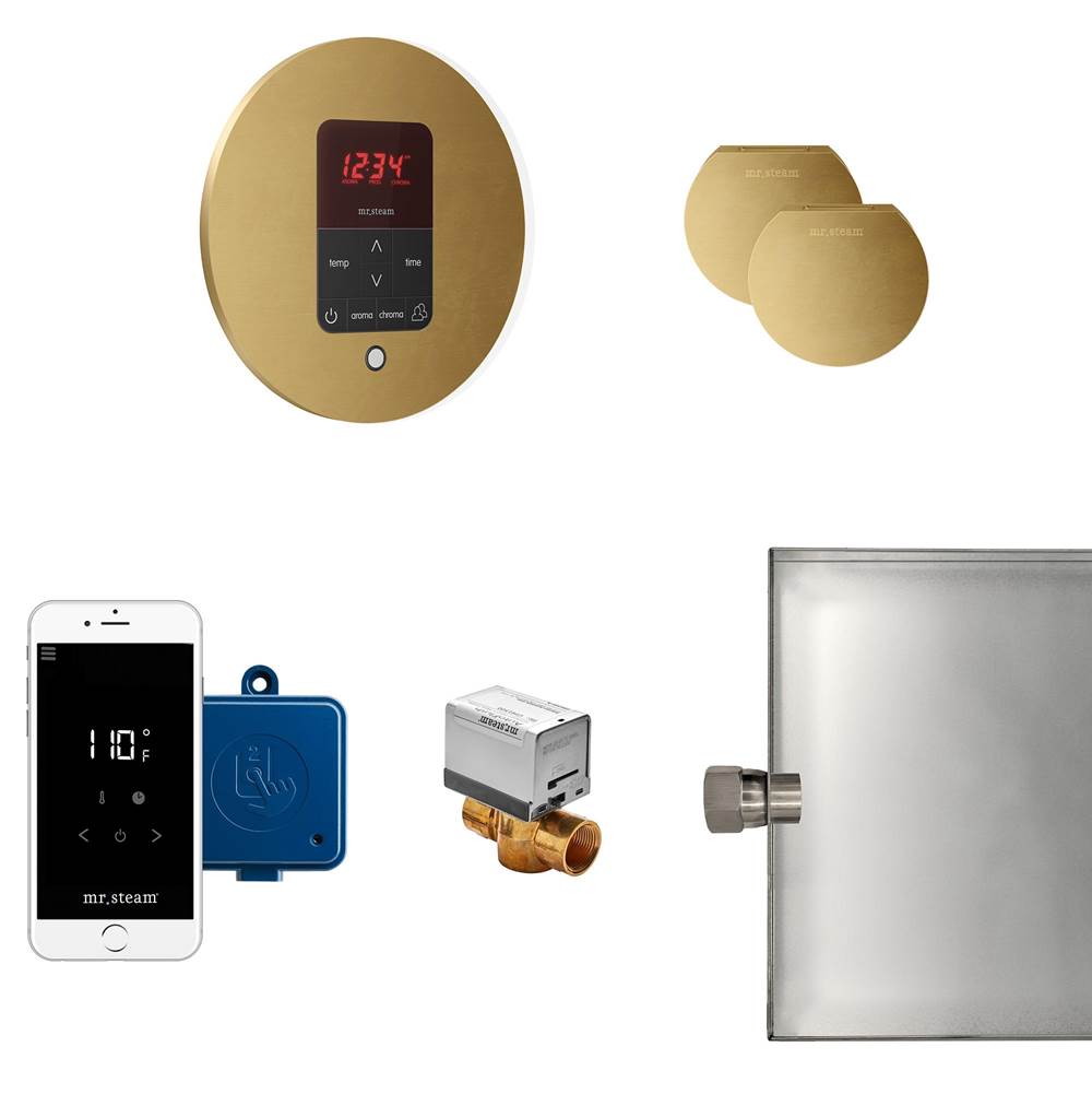 Mr. Steam - Butler Max Steam Shower Control Package with iTempoPlus Control and Aroma Designer SteamHead in Round Custom Plated/Unfinished - Custom Plated/Unfinished