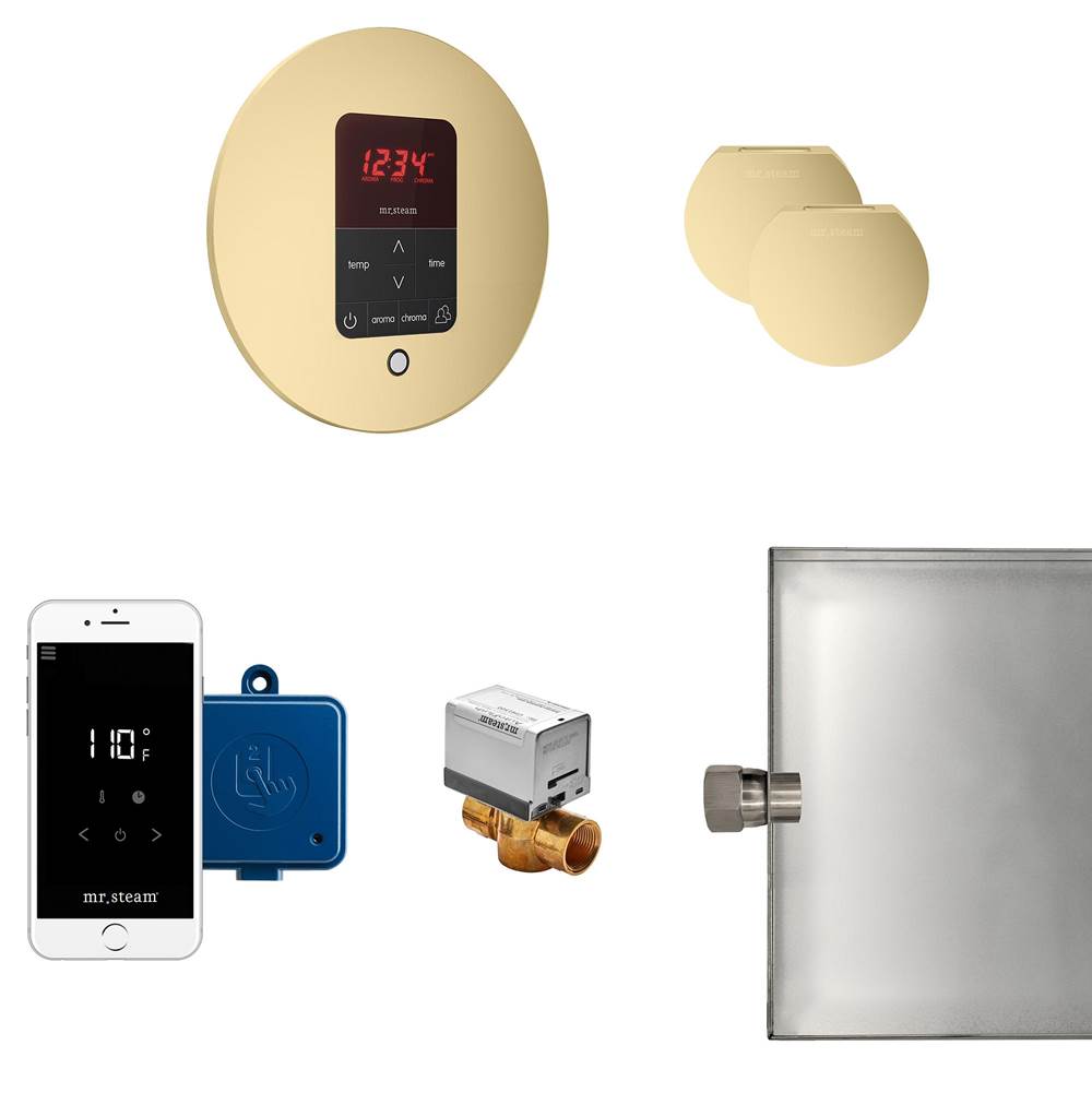 Mr. Steam - Butler Max Steam Shower Control Package with iTempoPlus Control and Aroma Designer SteamHead in Round Satin Brass - Satin Brass