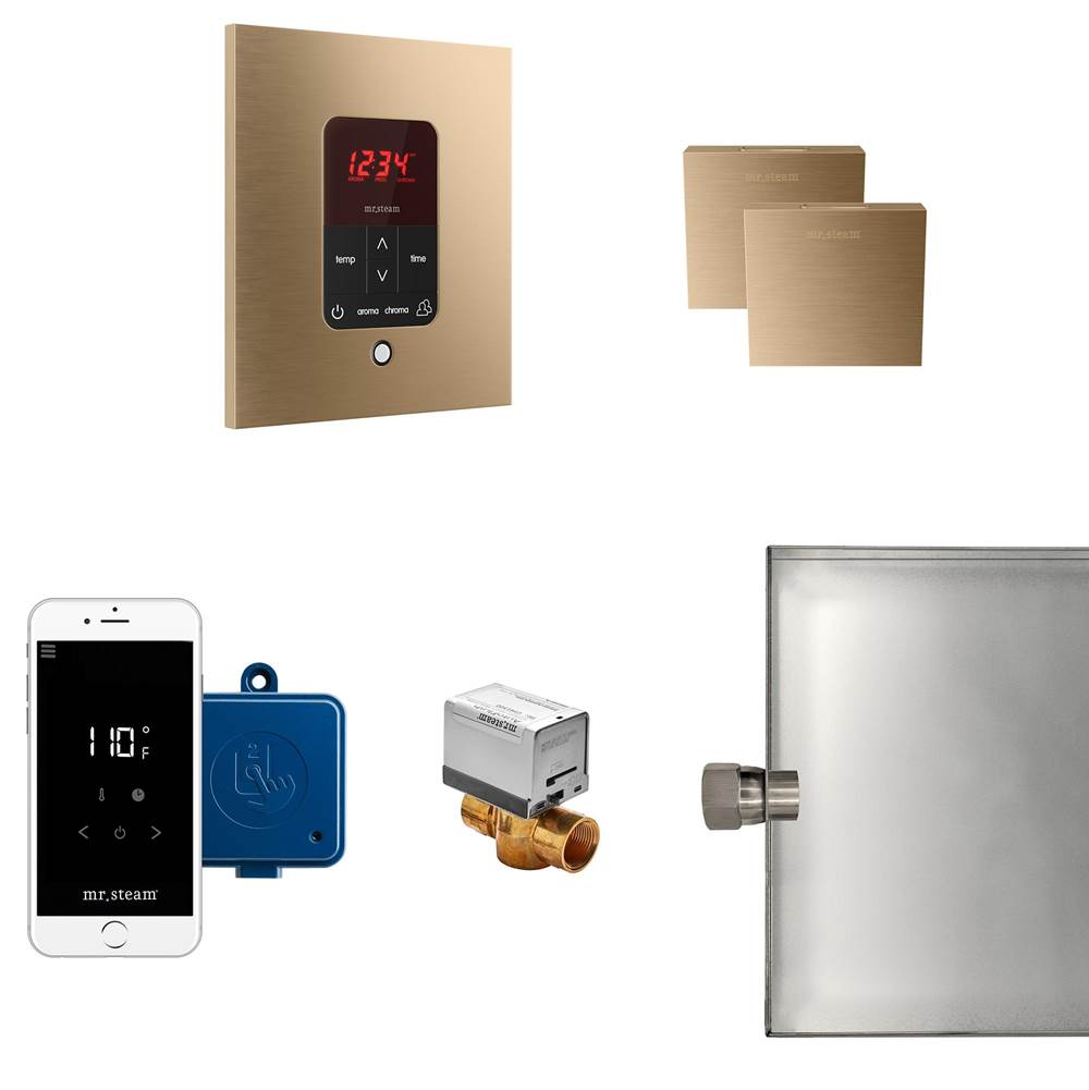 Mr. Steam - Butler Max Steam Shower Control Package with iTempoPlus Control and Aroma Designer SteamHead in Square Brushed Bronze - Brushed Bronze