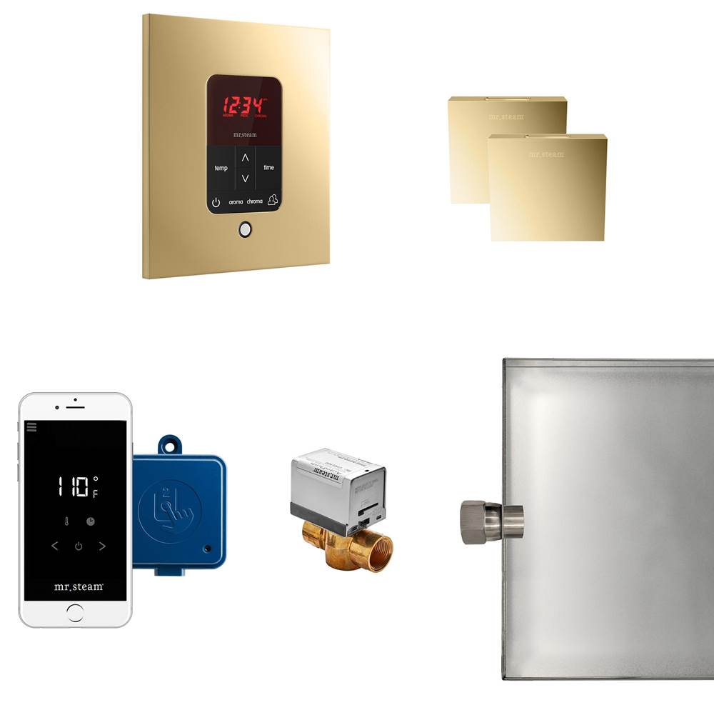 Mr. Steam - Butler Max Steam Shower Control Package with iTempoPlus Control and Aroma Designer SteamHead in Square Polished Brass - Polished Brass