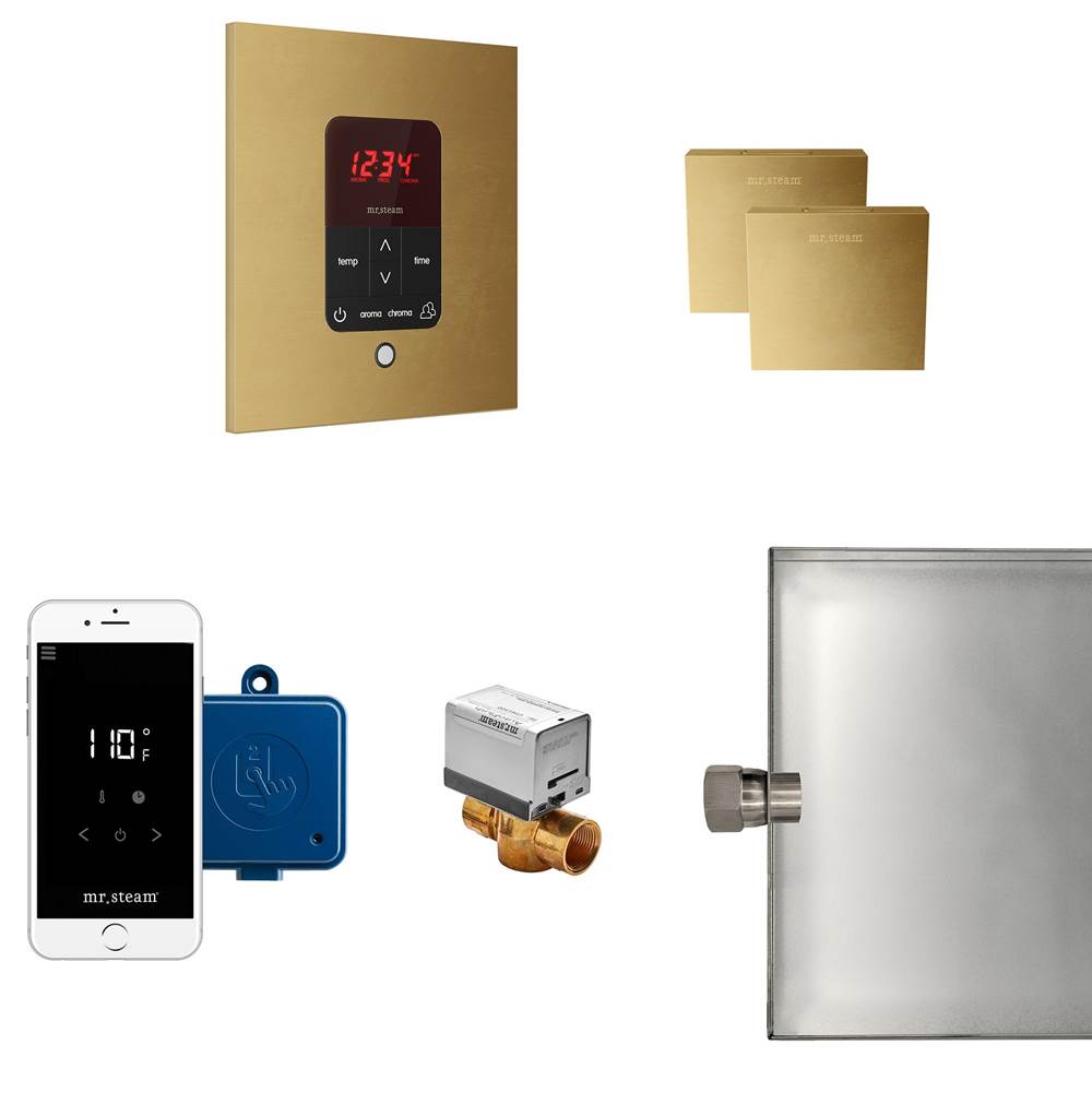 Mr. Steam - Butler Max Steam Shower Control Package with iTempoPlus Control and Aroma Designer SteamHead in Square Custom Plated/Unfinished - Custom Plated/Unfinished