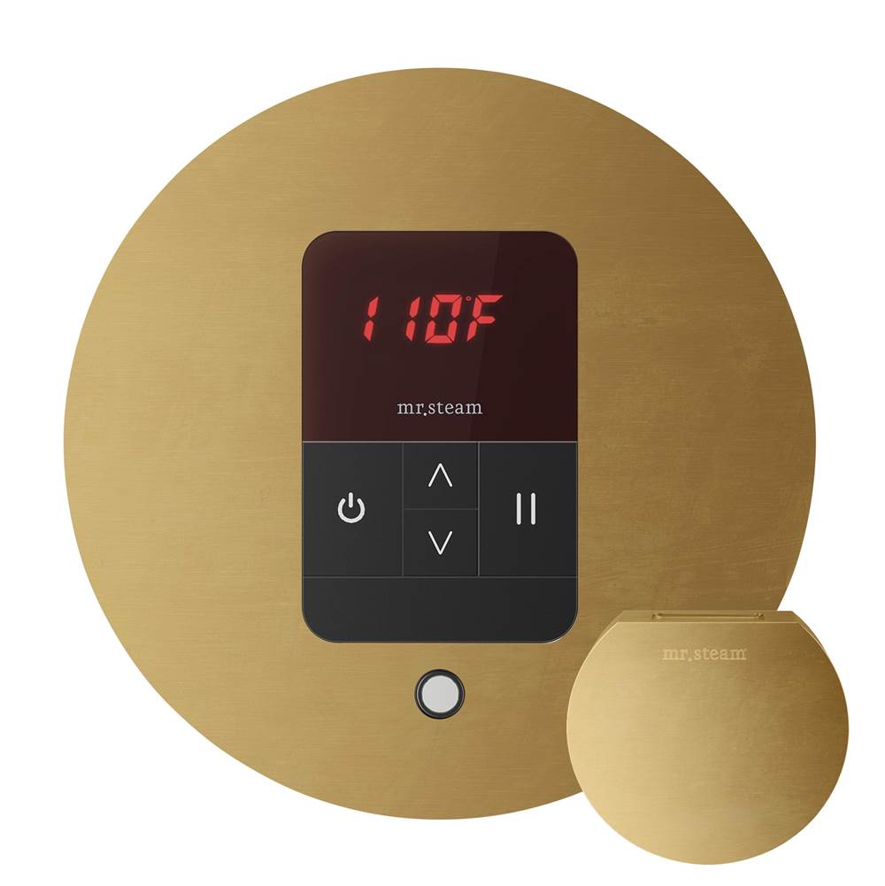 Mr. Steam - iTempo Steam Shower Control and Aroma Designer SteamHead in Round Custom Plated/Unfinished - Custom Plated/Unfinished