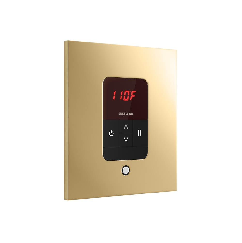 iTempo Steam Shower Control and Aroma Designer SteamHead in Square Brushed Bronze