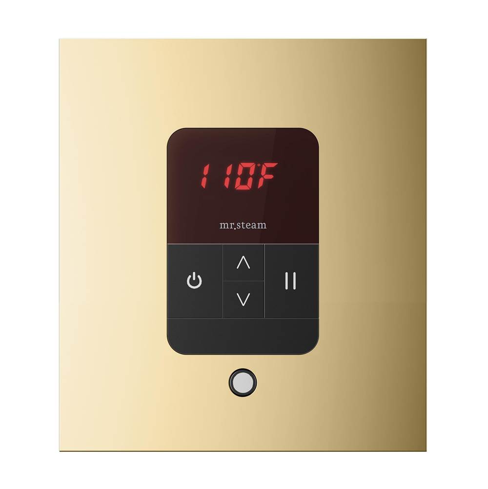 iTempo Steam Shower Control and Aroma Designer SteamHead in Square Brushed Bronze