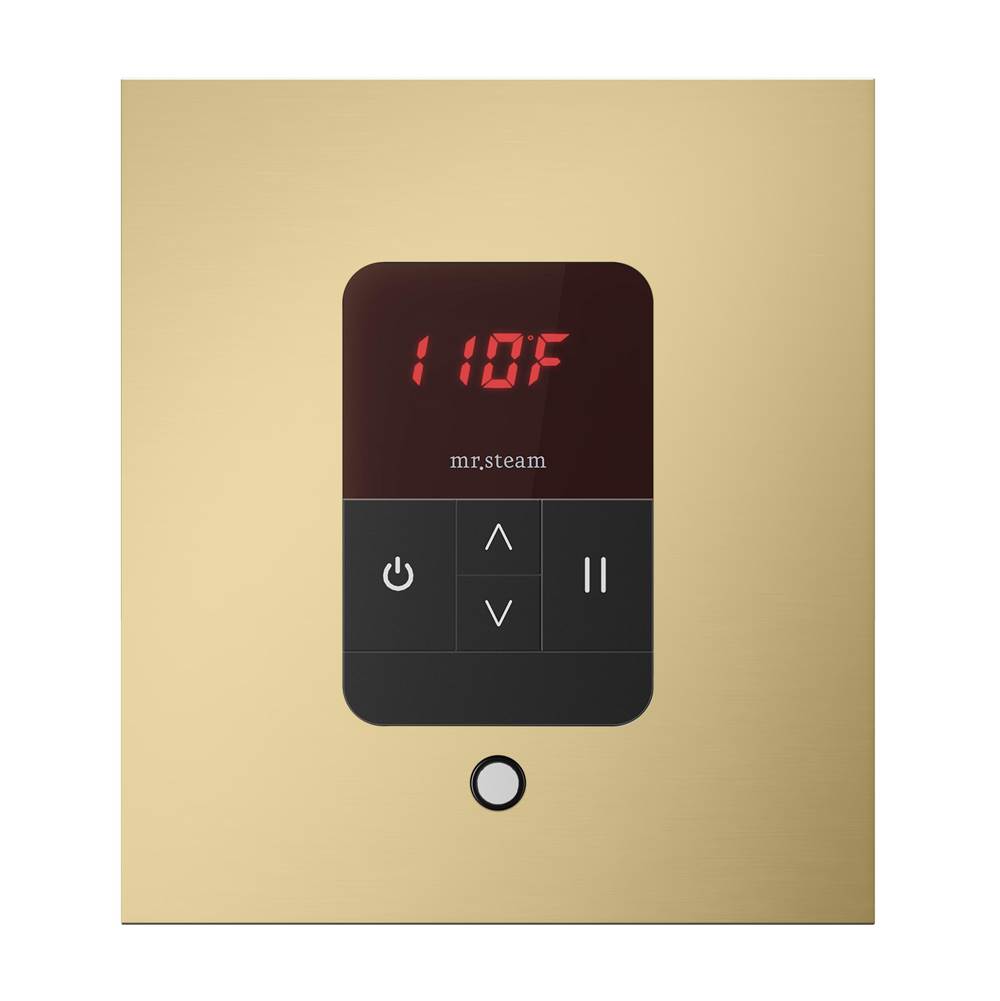 iTempo Steam Shower Control and Aroma Designer SteamHead in Square Brushed Bronze