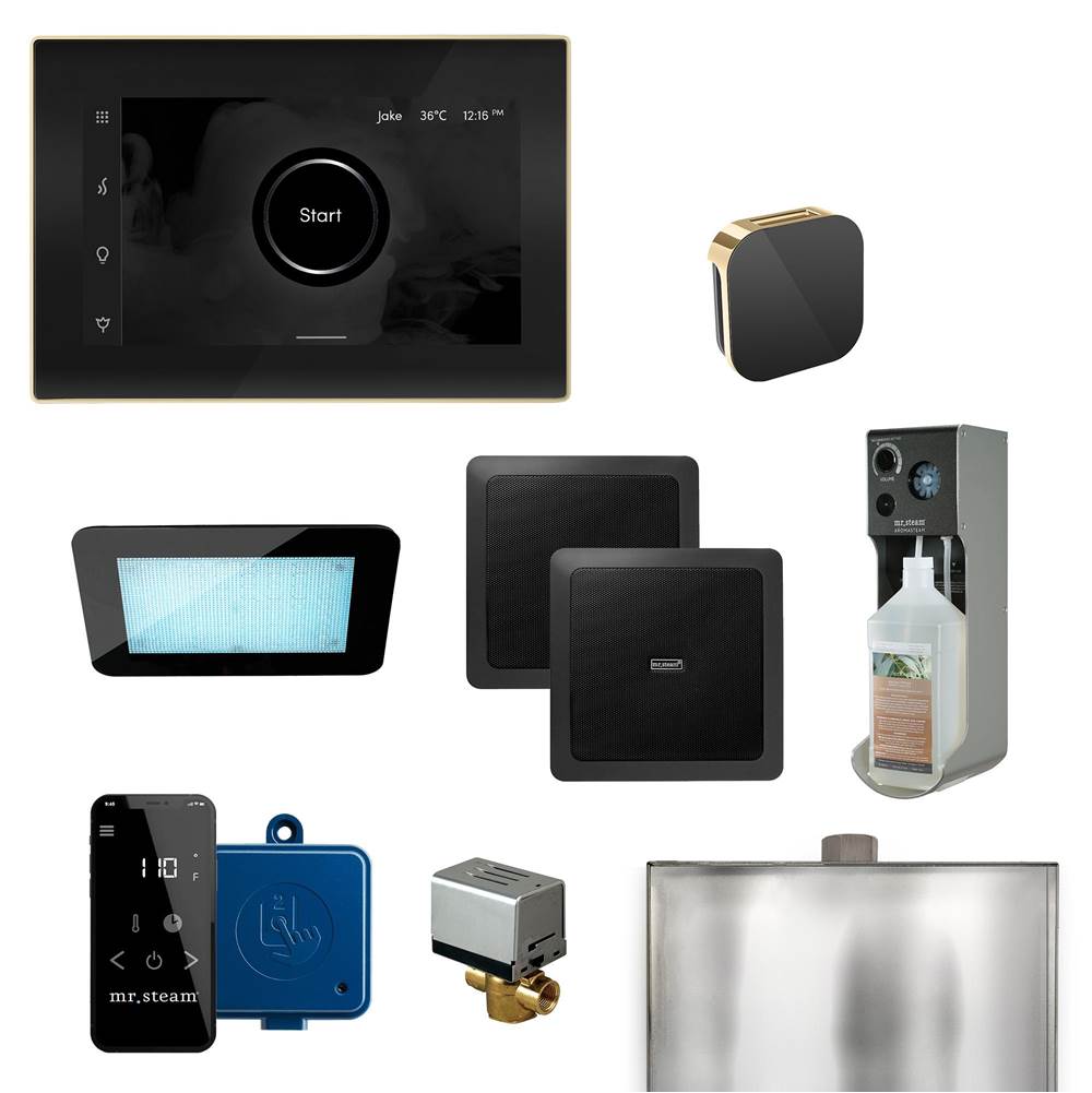 Mr. Steam - XDream Programmable Steam Generator Control Kit with iSteamX Control and Aroma Glass Steamhead in Black Polished Brass - Black Polished Brass