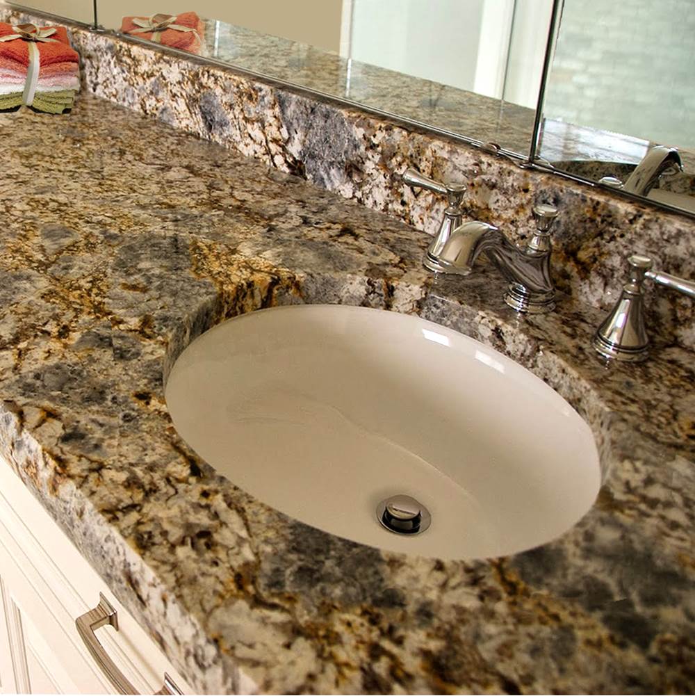 13 Inch X 10 Inch Undermount Ceramic Sink In Bisque