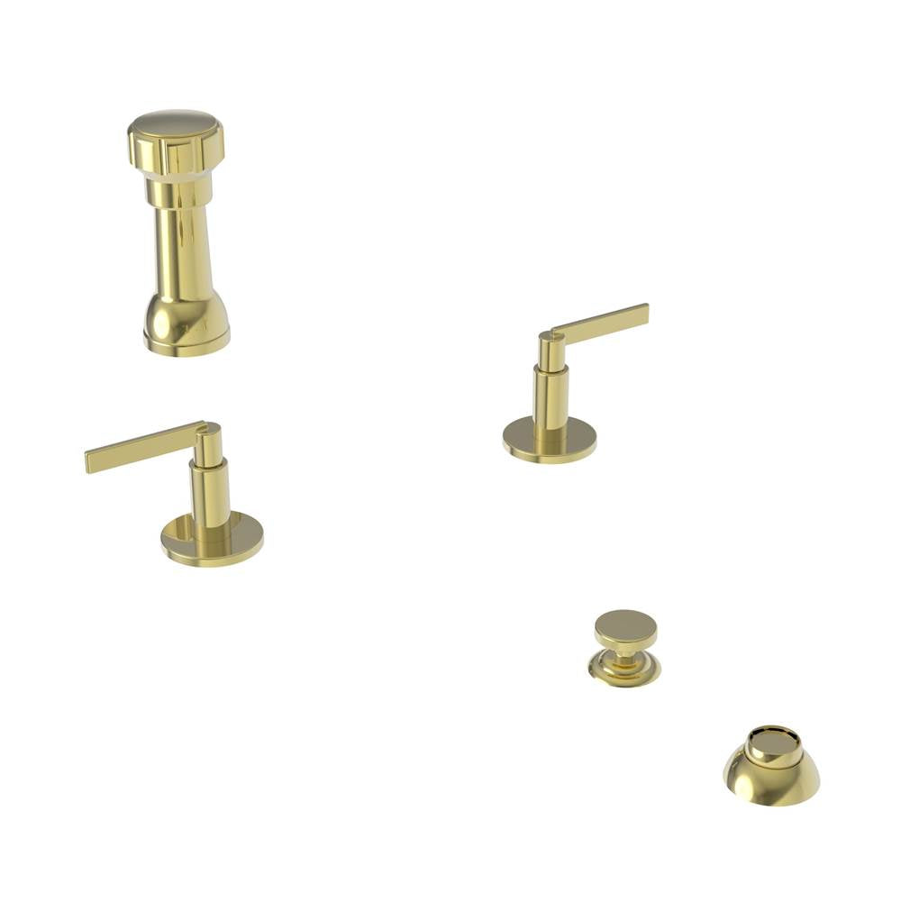 Newport Brass - Tolmin Bidet Set - Forever Brass Pvd
