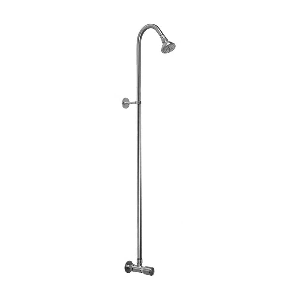 Outdoor Shower - Wall Mount Single Supply Shower - ADA Metered Valve, 3'' Shower Head - Stainless Steel - Stainless Steel