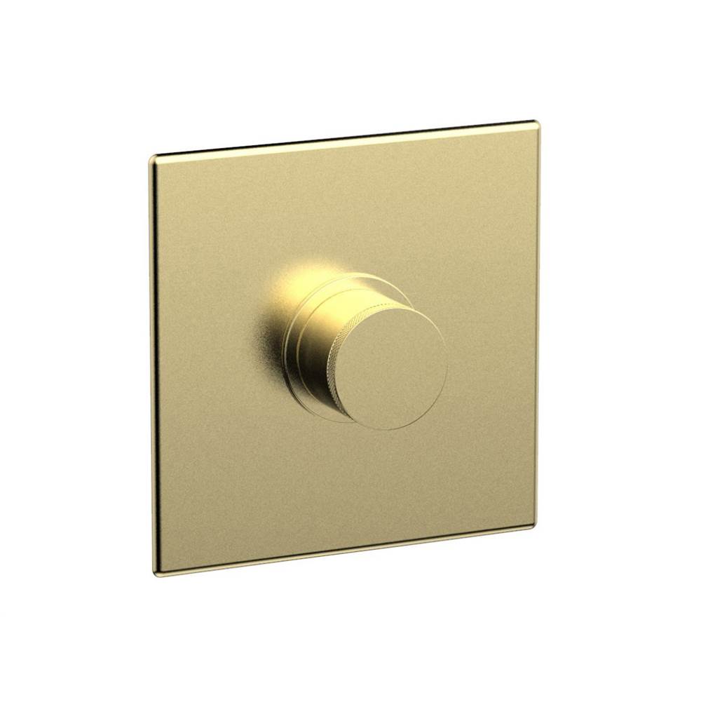 Phylrich - Shower Plate Trim Sq - Polished Brass Uncoated