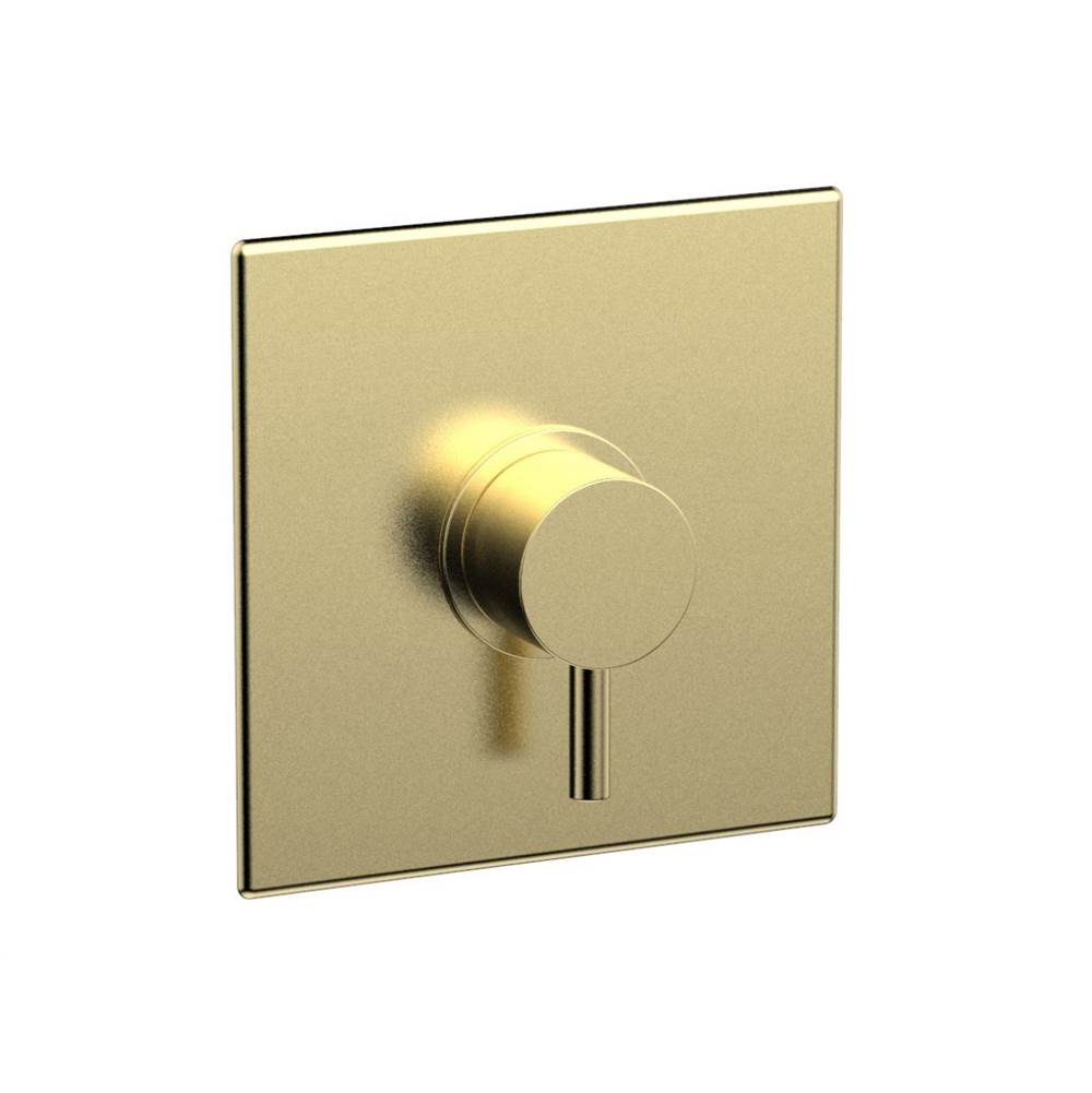 Phylrich - Shower Plate Trim - Polished Brass Uncoated