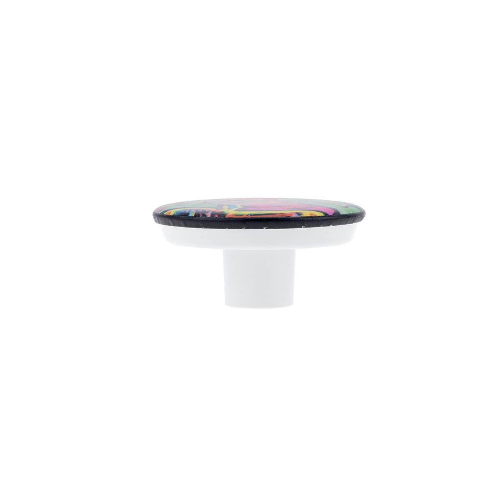 Contemporary Plastic Knob - 7625