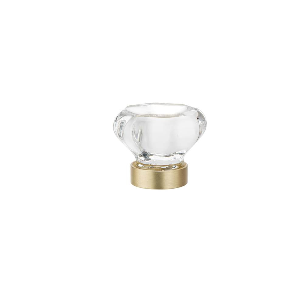 Eclectic Crystal and Metal Knob - 1007
