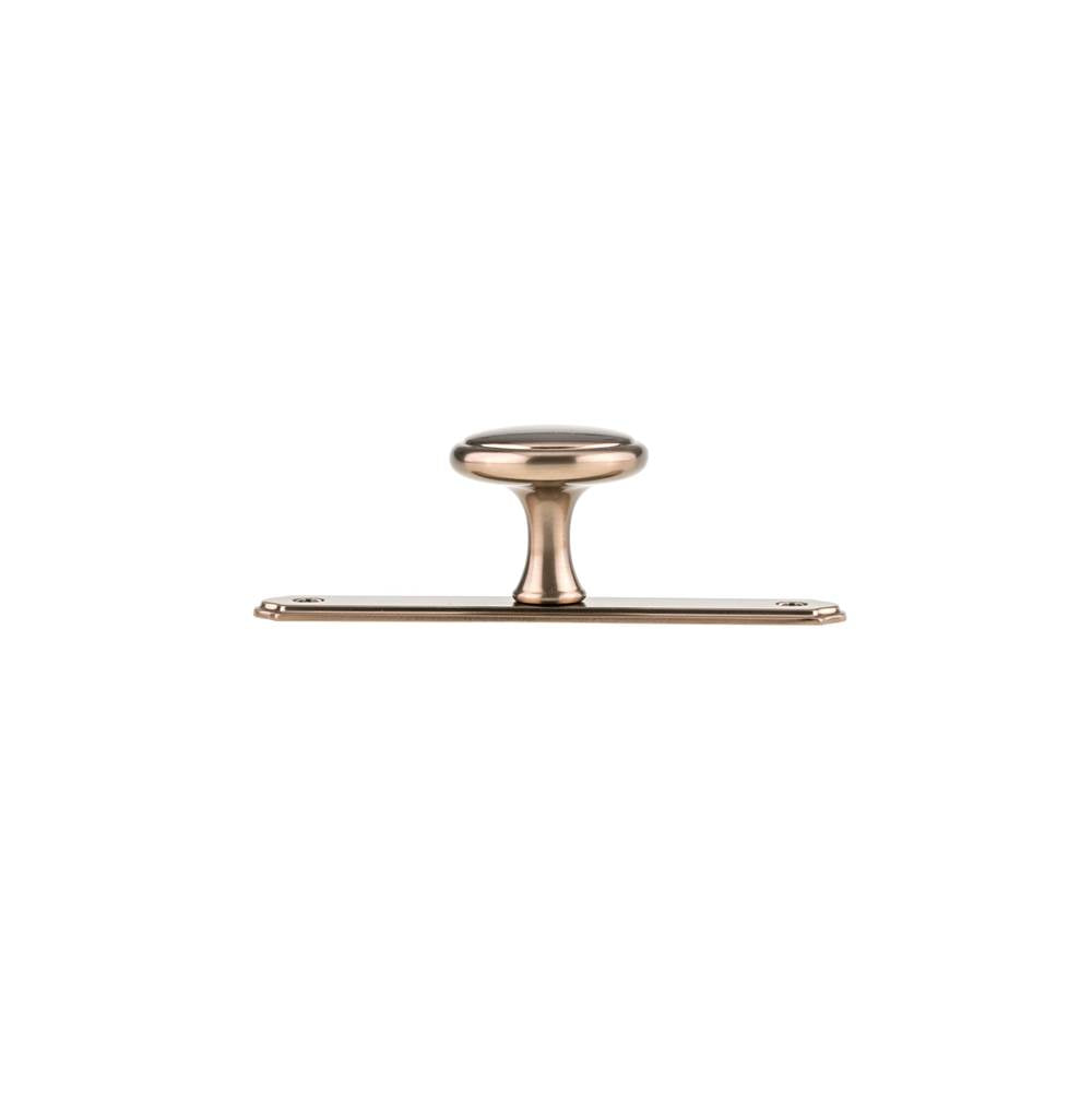 Transitional Metal Wardrobe Knob and Backplate