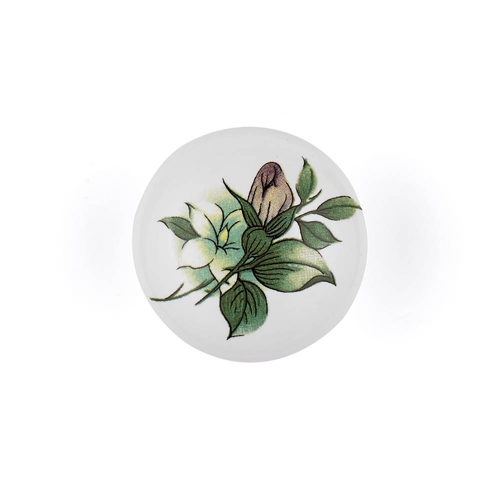 Eclectic Ceramic Knob - 3361