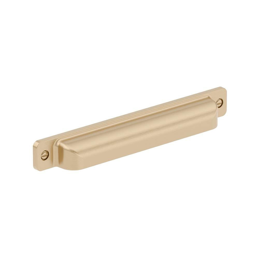 Richelieu America - Transitional Metal Pull - 8716 - Champagne Bronze