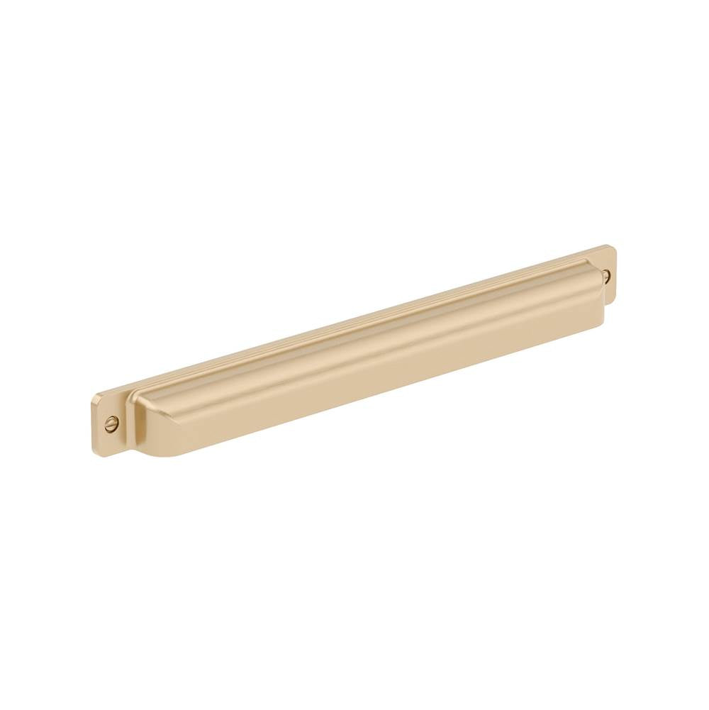 Richelieu America - Transitional Metal Pull - 8716 - Champagne Bronze