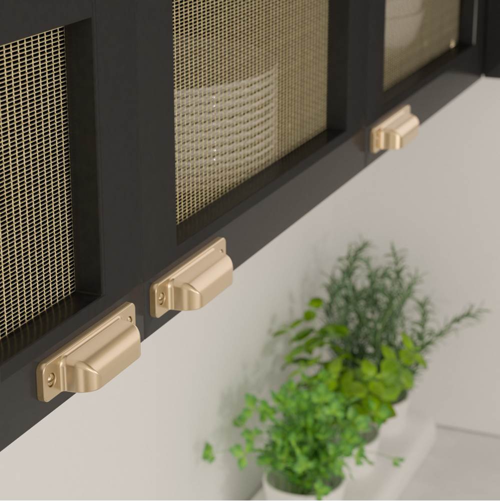 Transitional Metal Pull - 8716