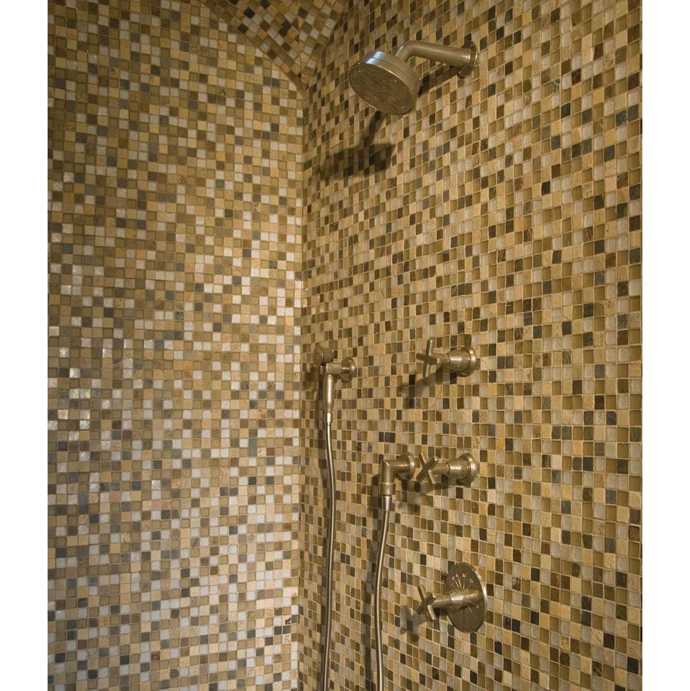 Plumbing Shower Trim only