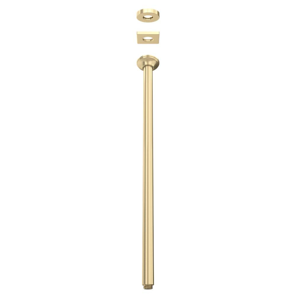Rohl - 24'' Ceiling Mount Shower Arm - Antique Gold