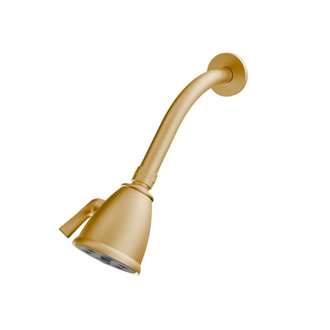 Santec - Standard 6 Port Showerhead with Arm and Flange - Radiant Satin Gold PVD