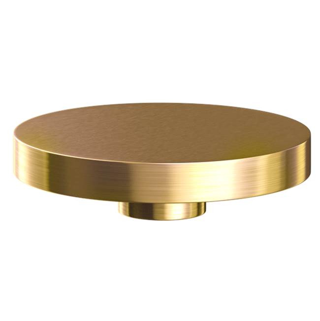 The Galley - Ideal Hole Cover in PVD Brushed Gold Stainless Steel - PVD Brushed Gold