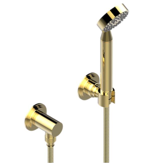 THG - Wall Mounted Handshower With Separate Fixed Hook - Gold Polished