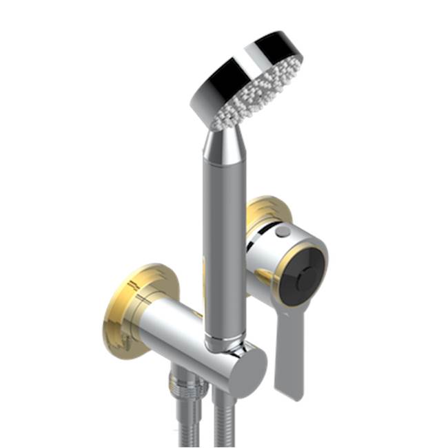 THG - Trim Only For Wall Mixer With Complete Handshower On Hook - Chrome Polished Gold Polished