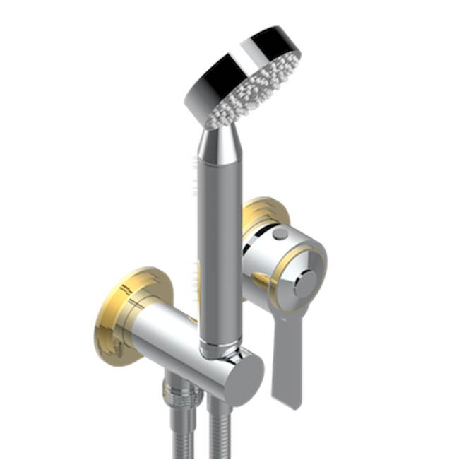 THG - Trim Only For Wall Mixer With Complete Handshower On Hook - Chrome Polished Gold Polished