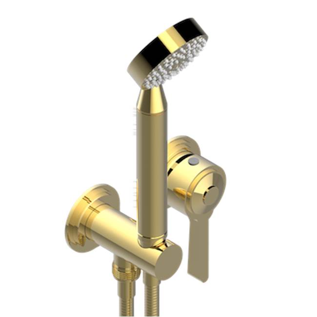 THG - Trim Only For Wall Mixer With Complete Handshower On Hook - Gold Color PVD