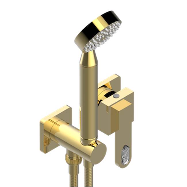 THG - Trim Only For Wall Mixer With Complete Handshower On Hook - Gold Polished