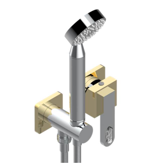 THG - Trim Only For Wall Mixer With Complete Handshower On Hook - Chrome Polished Gold Polished
