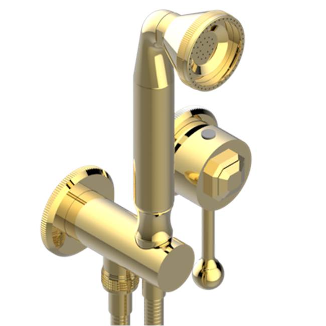 THG - Trim Only For Wall Mixer With Complete Handshower On Hook - Gold Color PVD
