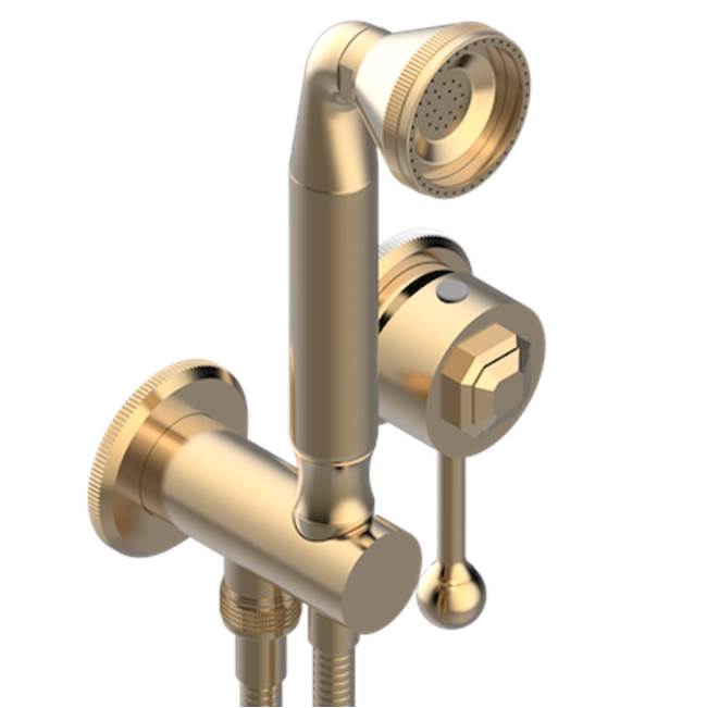 THG - Trim Only For Wall Mixer With Complete Handshower On Hook - Matt Umber PVD